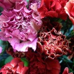IMG_2775.jpg