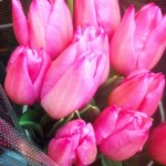 IMG_8678.jpg