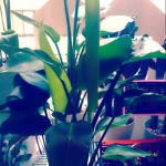 CUNPIC_20150616_125521.png