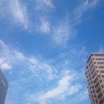 DSC_1563.JPG