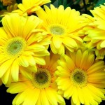 IMG_1549.jpg
