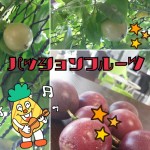 2015-09-12-10-59-26_deco.jpg