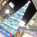 IMG_2691.jpg